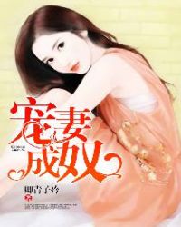 宠妻成瘾类型的小说